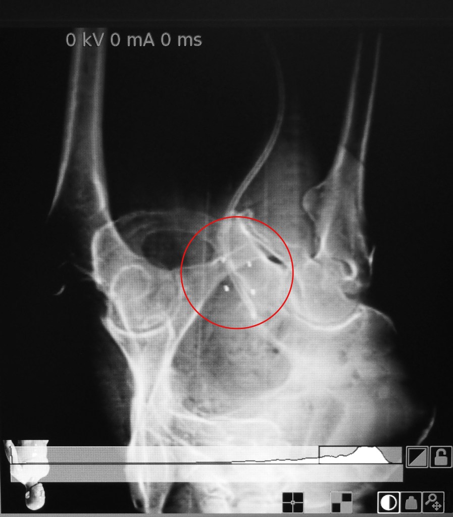 P6170010 - Crop1-1-B&W - Final